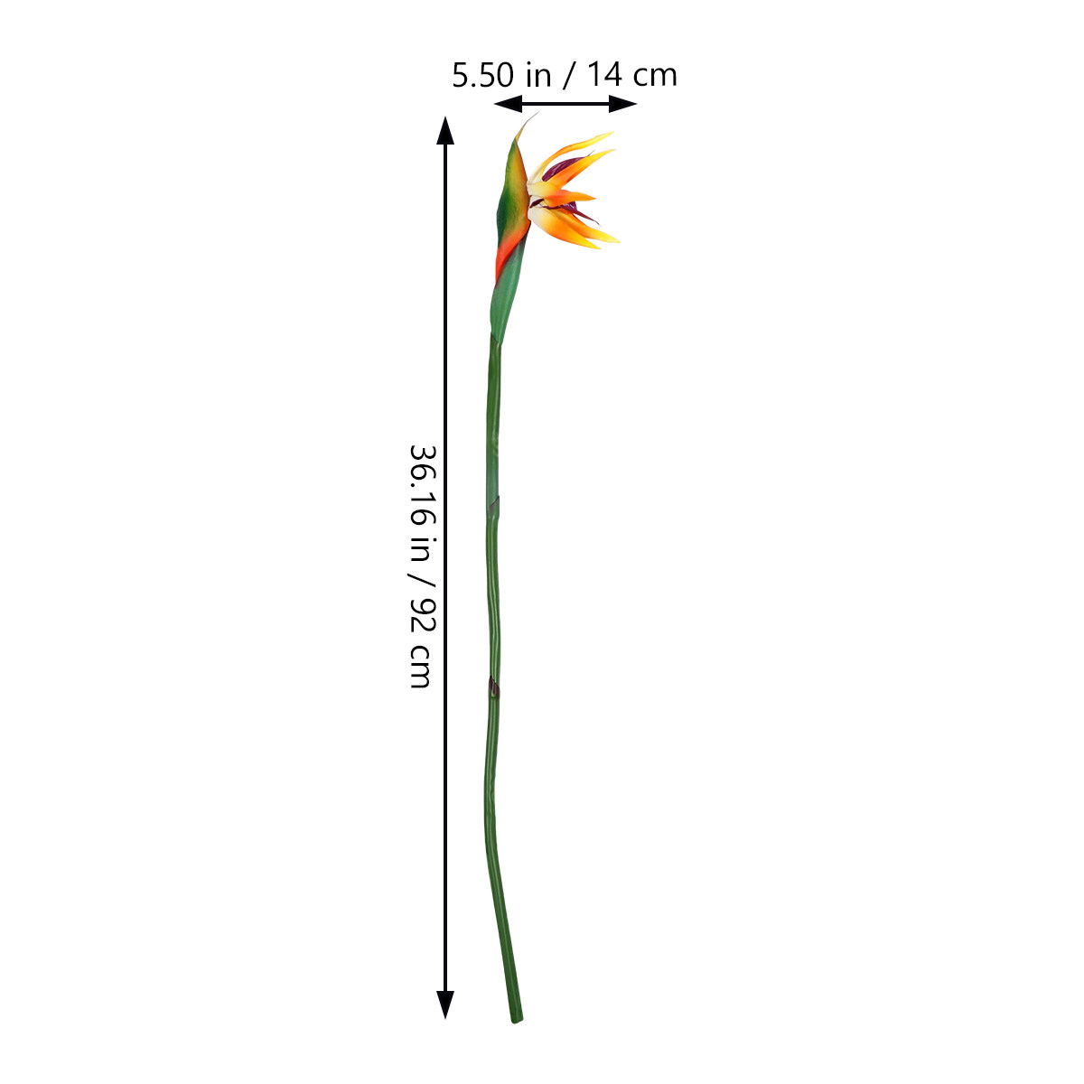 Flor de Strelitzia Artificial, - Bird Paradise Strelitzia reseña y precio
