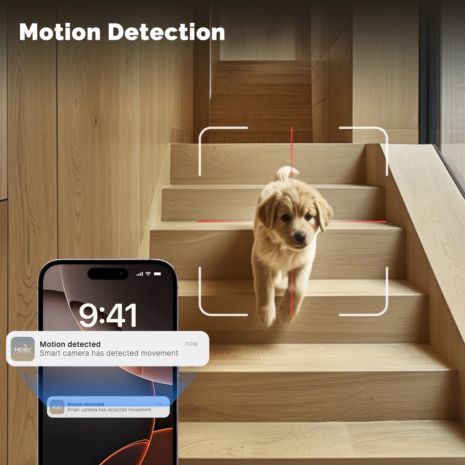 Moes Tuya WiFi cámara intelige - Eufy Camera E220 reseña y precio