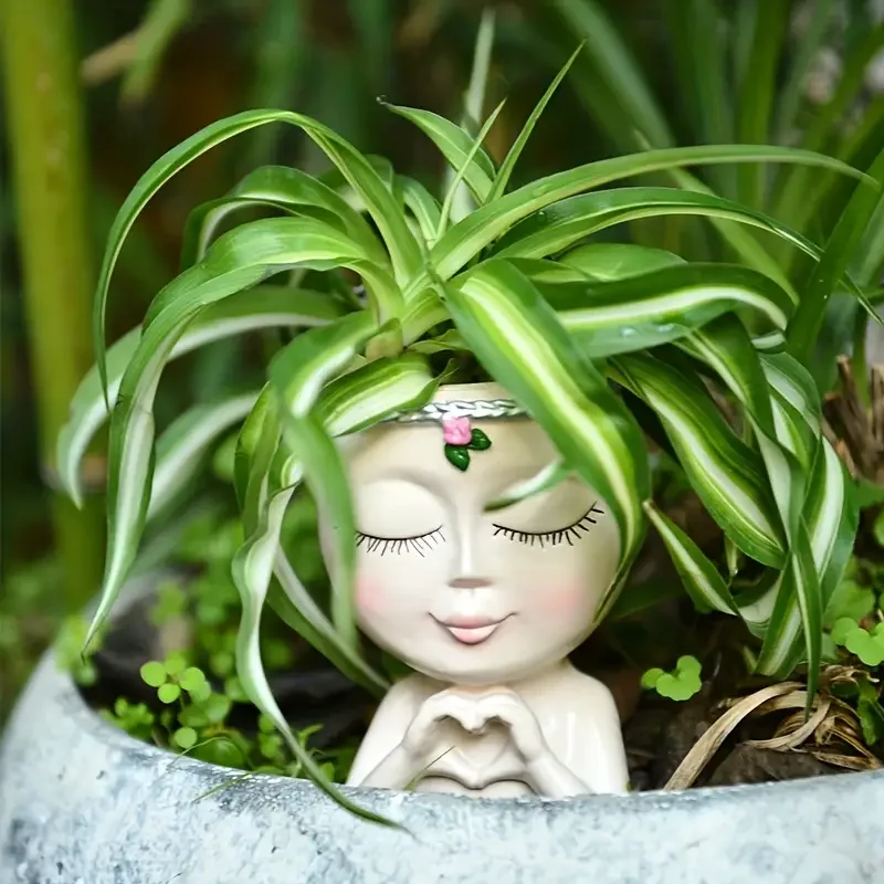 Maceta de resina con forma de  - Echeveria Succulent reseña y precio